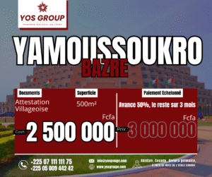 bassam motobe (copie)